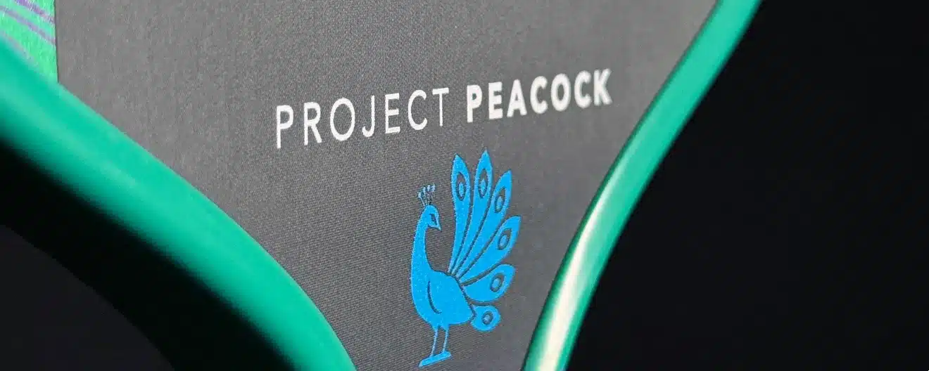 Vợt Pickleball Proton
