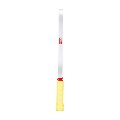 JOOLA Astral Pickleball Paddle