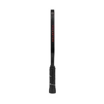 HOLBROOK Arma Pickleball Racket: Metallic X