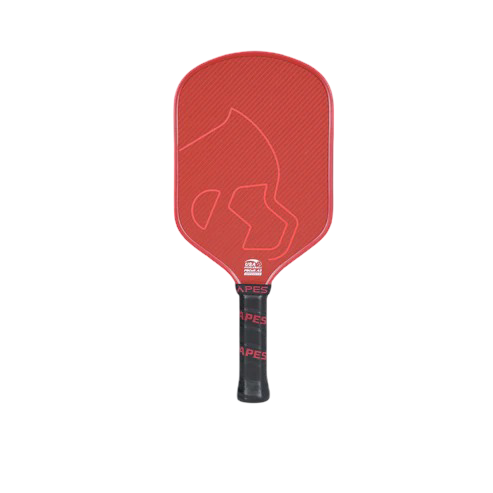 Vợt Pickleball Apes Joy S