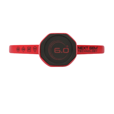 Pickleball Six Zero Ruby Pro racket