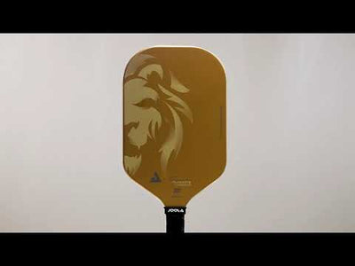 Joola Tyson McGuffin Magnus CAS Pickleball Paddle