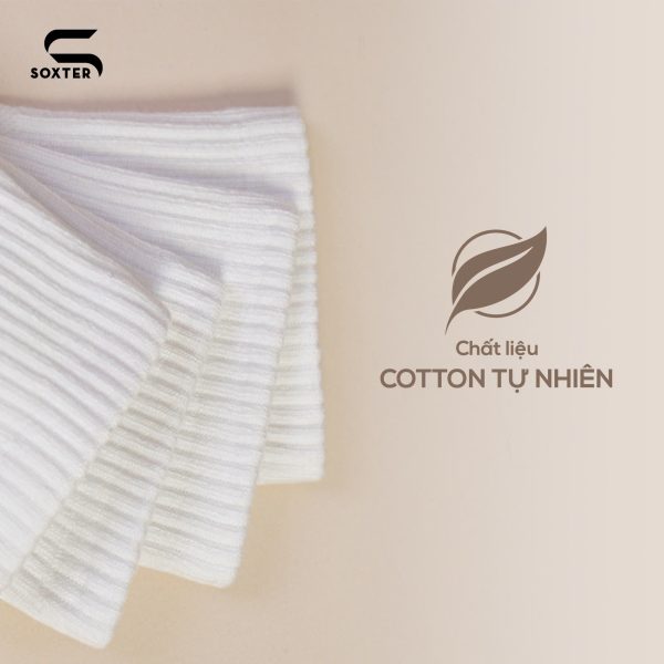 Soxter Basic Pickleball Socks