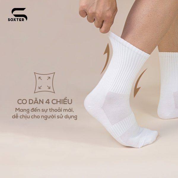 Soxter Basic Pickleball Socks