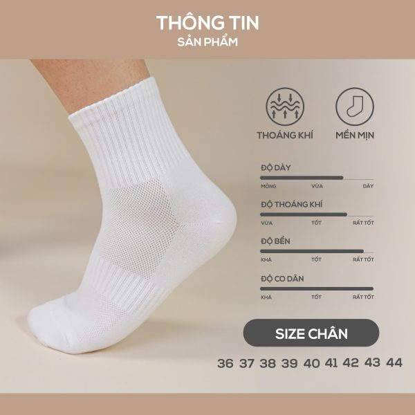 Soxter Basic Pickleball Socks